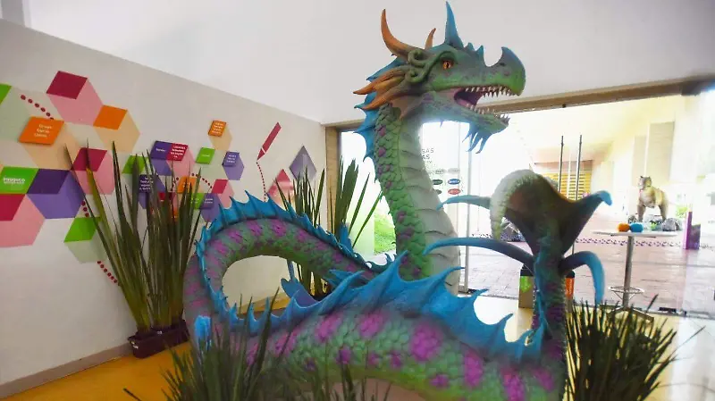 Invitan a disfrutar del Mundo de Dragones en el Museo Bebeleche de Durango 